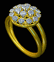 Plaatjes Ringen 