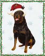 Plaatjes Rottweiler 