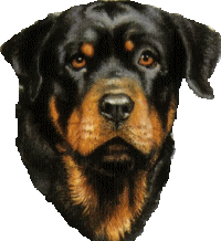 Plaatjes Rottweiler 