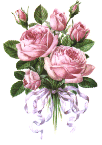 Rozen Plaatjes 