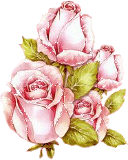 Rozen Plaatjes 