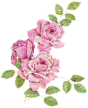 Rozen Plaatjes 