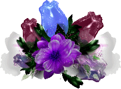 Rozen Plaatjes 