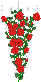 Rozen Plaatjes 