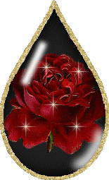 Rozen Plaatjes 