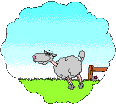 Schapen Plaatjes 