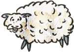 Schapen Plaatjes 