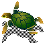 Schildpadden Plaatjes 