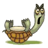 Schildpadden Plaatjes 
