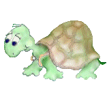 Schildpadden Plaatjes 