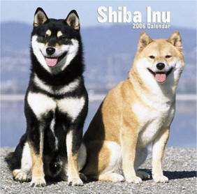 Plaatjes Shibas 