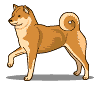 Plaatjes Shibas 