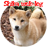 Plaatjes Shibas 