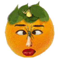 Plaatjes Sinaasappel 