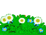 Plaatjes Smilies 