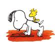 Snoopy Plaatjes 