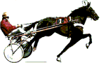 Sport Plaatjes Paarden Races