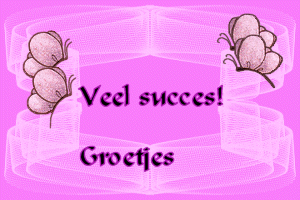 Plaatjes Succes 