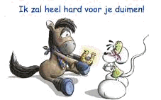 Plaatjes Succes 