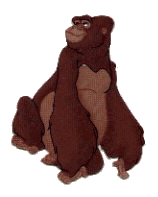 Tarzan Plaatjes 