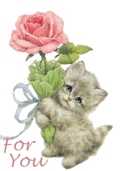 Plaatjes Text animaties 