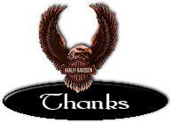 Plaatjes Thank you 