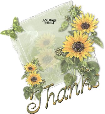 Plaatjes Thank you 