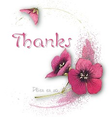 Plaatjes Thank you 