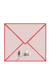 Plaatjes Thank you 