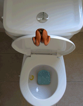 Plaatjes Toiletten Vrouw Duikt Toilet In