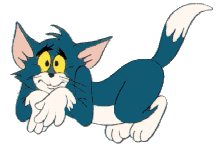 Tom en jerry Plaatjes 