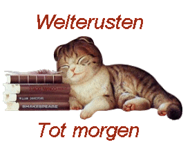 Plaatjes Tot morgen Welterusten Tot Morgen Kat