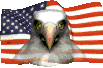 Plaatjes Usa Usa Vlag Arend Vogel Amerika