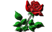Valentijn Plaatjes Rode Roos Love You