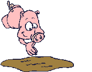 Varkens Plaatjes 