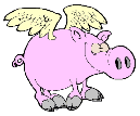 Varkens Plaatjes 