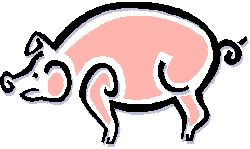 Varkens Plaatjes 