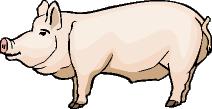 Varkens Plaatjes 