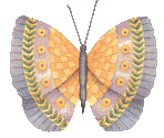 Vlinders Plaatjes 
