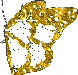Vlinders Plaatjes 