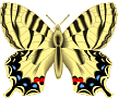 Vlinders Plaatjes 