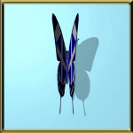Vlinders Plaatjes 