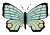 Vlinders Plaatjes 