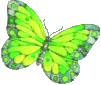 Vlinders Plaatjes 