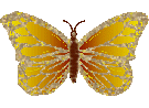 Vlinders Plaatjes 
