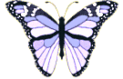 Vlinders Plaatjes Mooie Paarse Vlinder