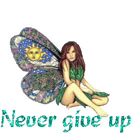 Vlinders Plaatjes Never Give Up Vlinder