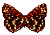 Vlinders Plaatjes 