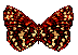 Vlinders Plaatjes 