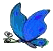 Vlinders Plaatjes 